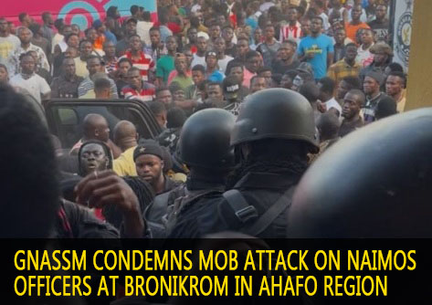 WhatsApp-Image-2025-11-02-at-173205_9b1c4e55-473x1024 copy